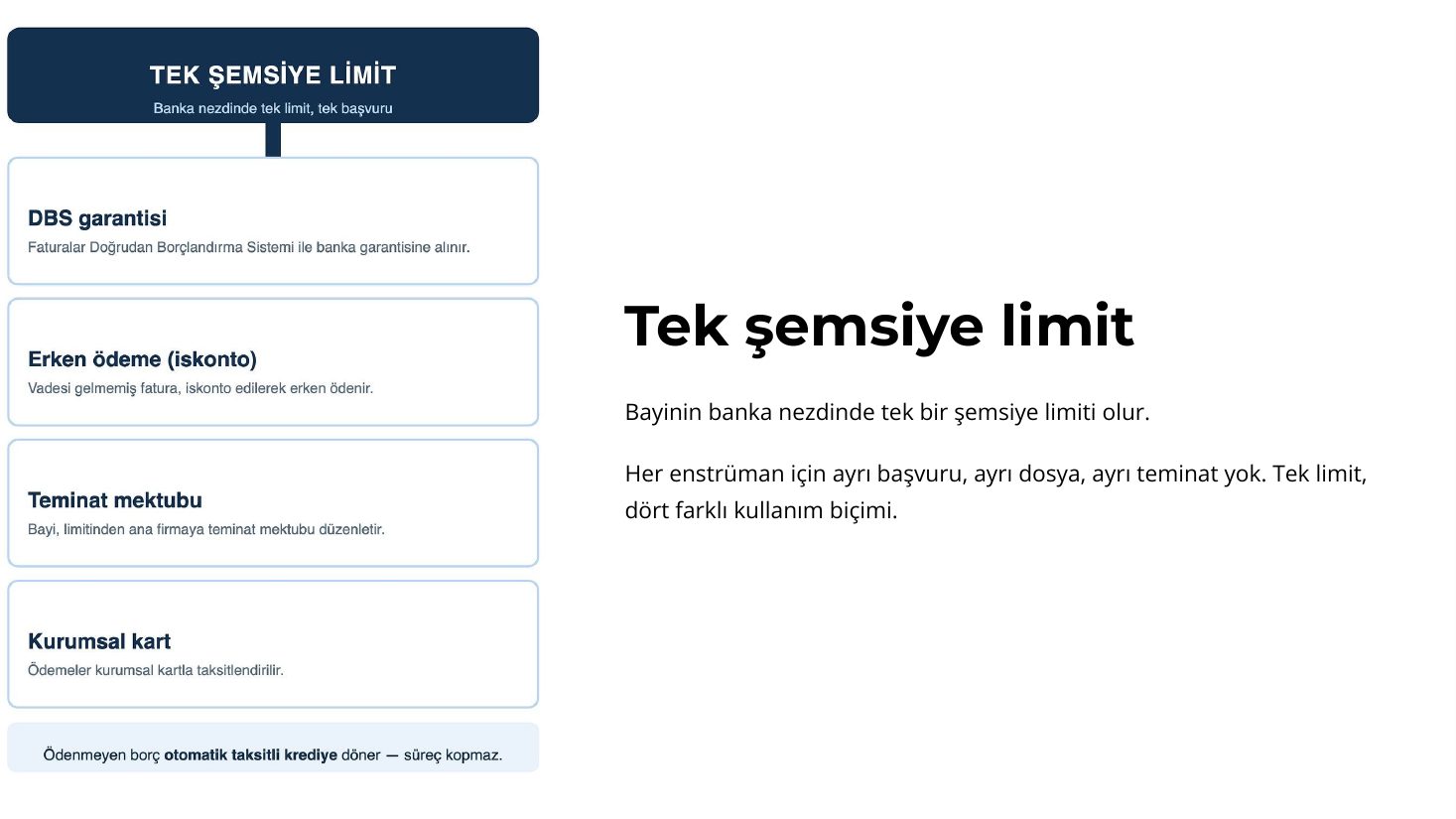 Tek şemsiye limit